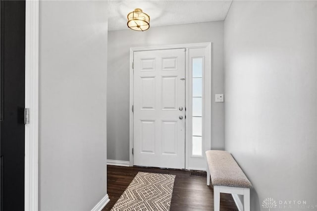 foyer entrance featuring dark wood-type flooring