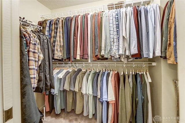 view of spacious closet