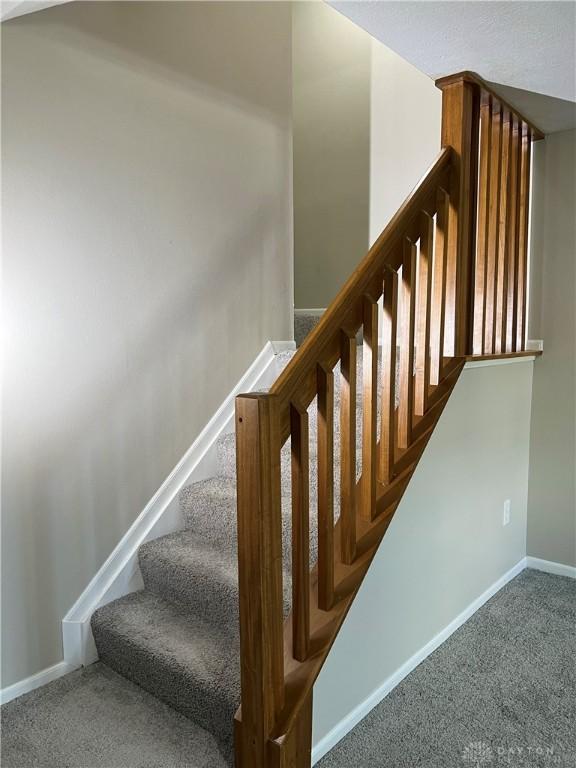 staircase with carpet floors