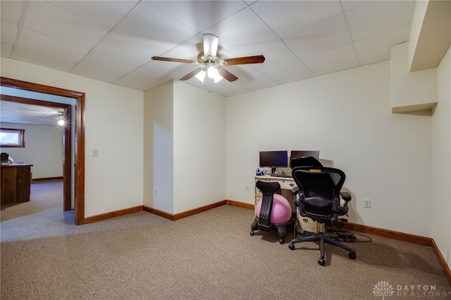 carpeted office space with a drop ceiling and ceiling fan