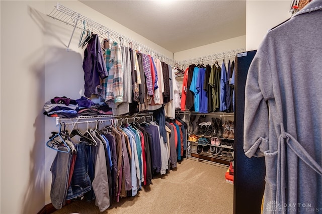 walk in closet featuring carpet