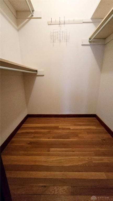 walk in closet featuring dark wood-type flooring