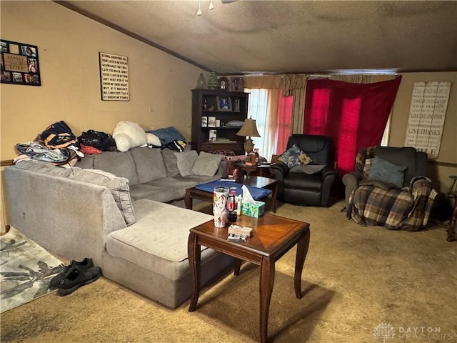 carpeted living room with vaulted ceiling and a textured ceiling