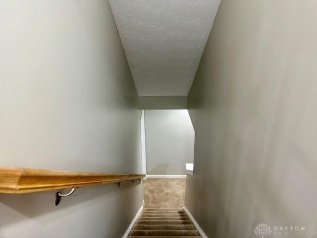 staircase featuring carpet flooring and a textured ceiling