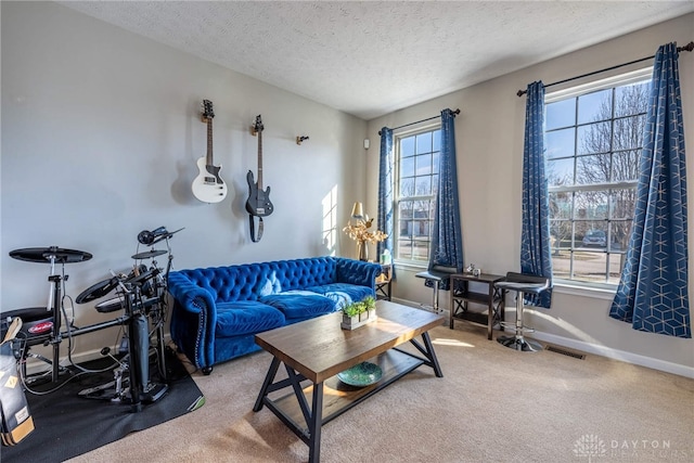 living room with carpet, plenty of natural light, a textured ceiling, and baseboards