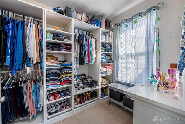 walk in closet with carpet flooring