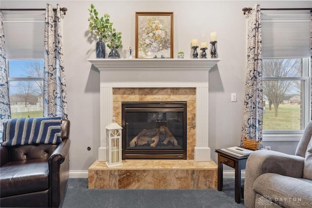 living area featuring a premium fireplace, plenty of natural light, and carpet flooring