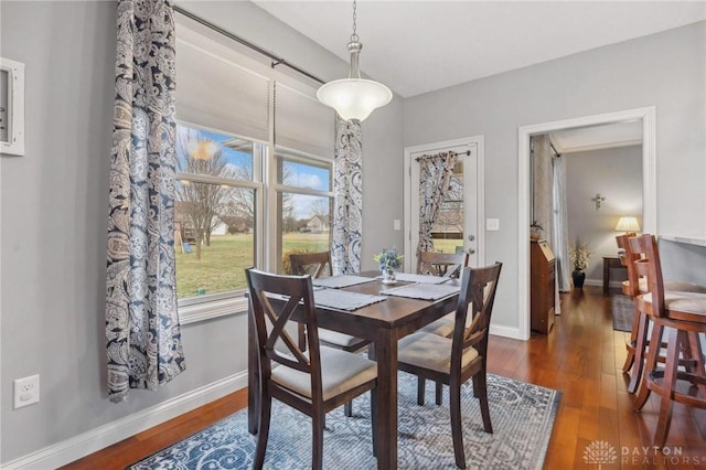 dining room with dark hardwood / wood-style floors