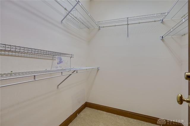 view of walk in closet