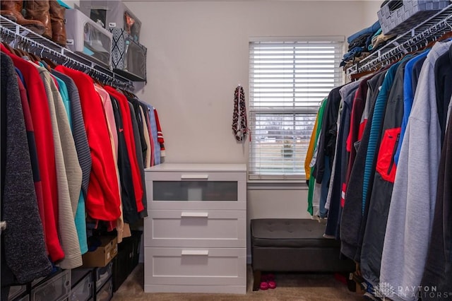 view of walk in closet