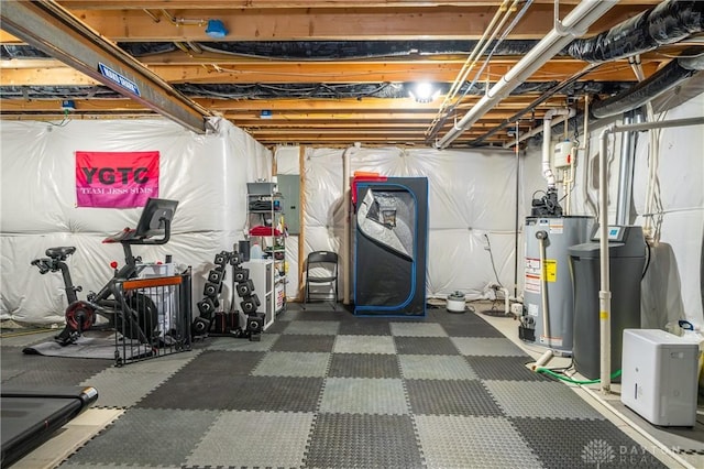 basement featuring gas water heater and electric panel