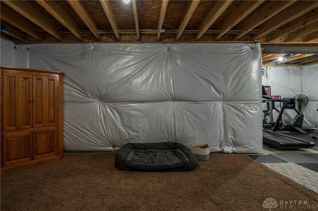 basement with carpet flooring