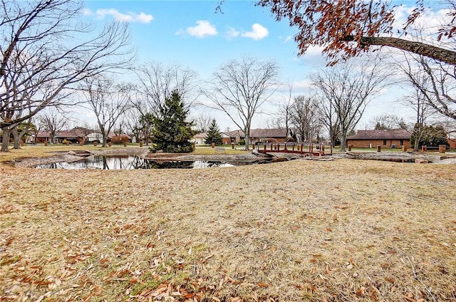 view of yard with a water view