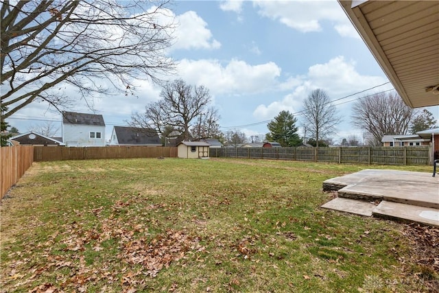 view of yard featuring a patio and a storage unit