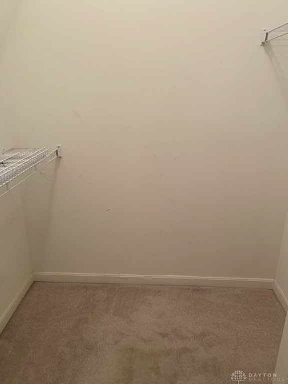 walk in closet with light carpet