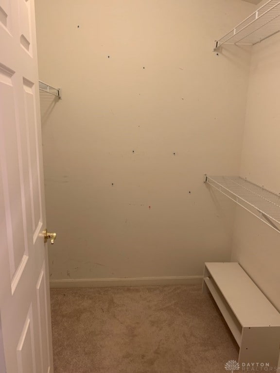 spacious closet featuring carpet