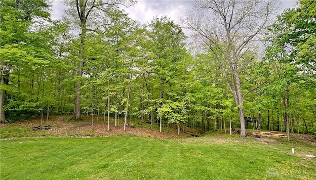 view of yard with a wooded view