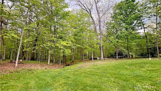 2769 Golden Fox Trl, Lebanon, OH 45036 - view of yard with a view of trees
