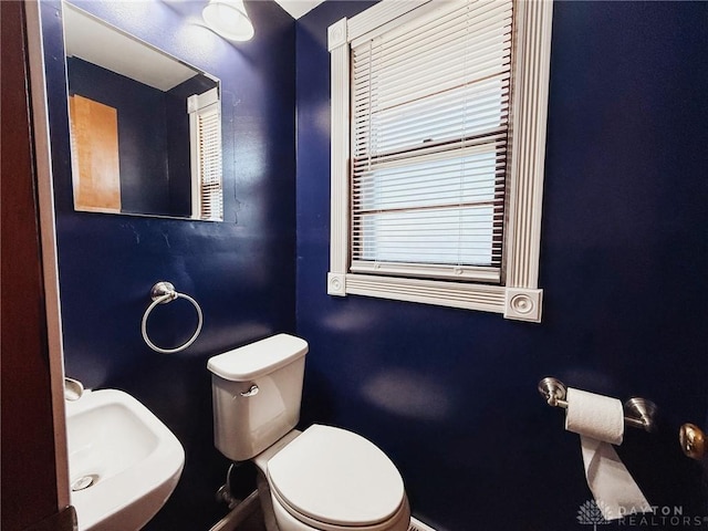 bathroom featuring sink and toilet