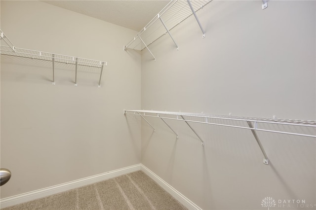 walk in closet featuring carpet