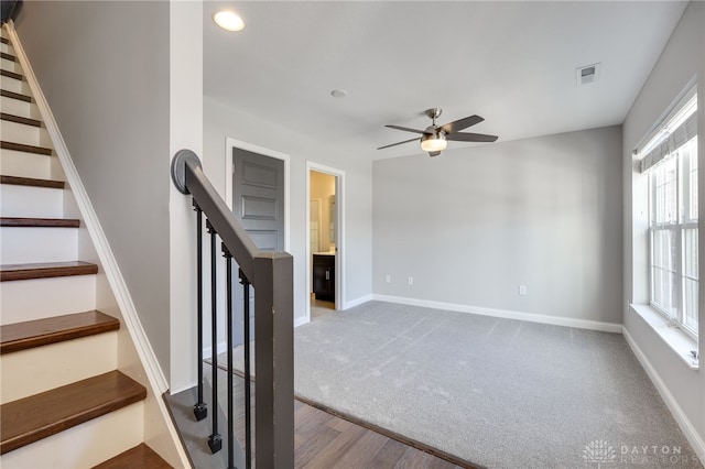 staircase featuring ceiling fan and carpet