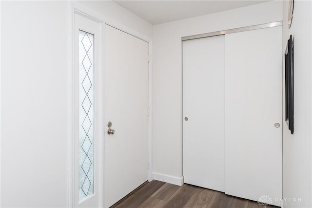 entrance foyer with dark wood-type flooring