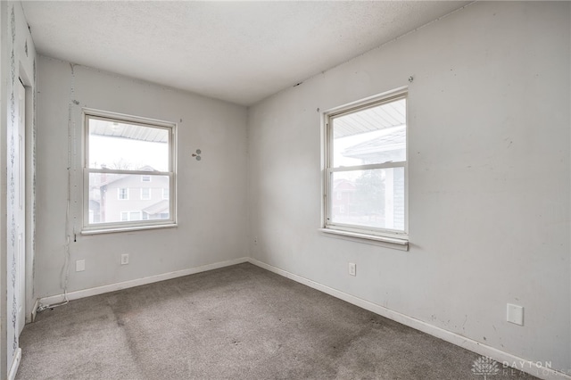 spare room with carpet floors, a textured ceiling, and a wealth of natural light