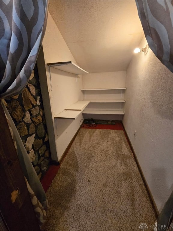 interior space featuring carpet floors