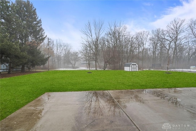 view of yard with a patio area and a storage unit