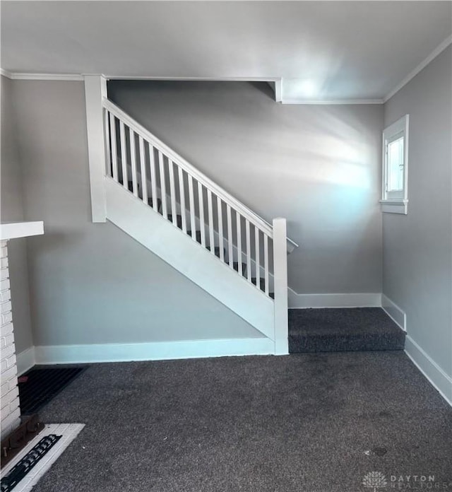 staircase with ornamental molding and carpet flooring