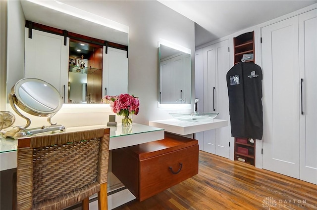 bathroom with sink and wood-type flooring