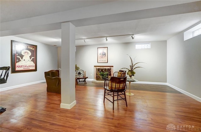 living area featuring track lighting and hardwood / wood-style floors