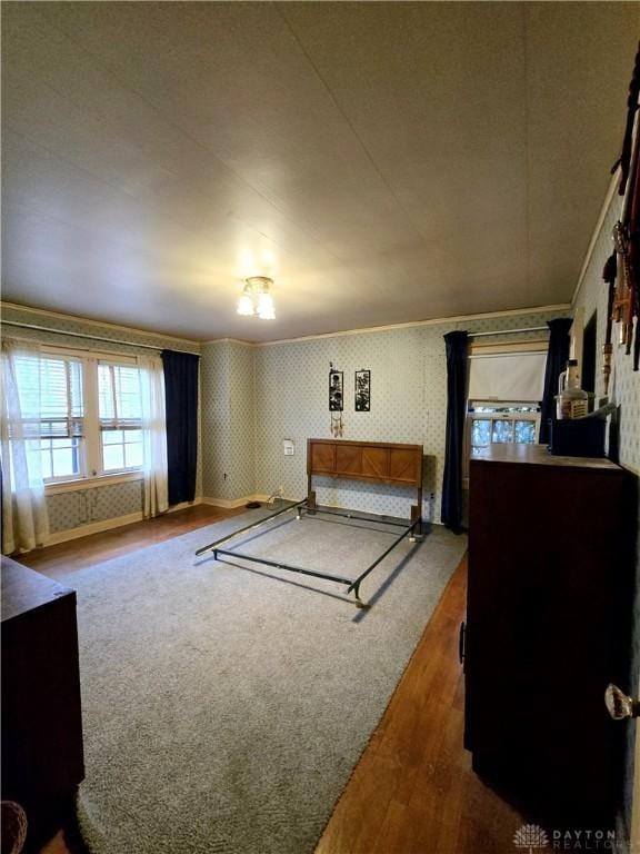 bedroom with wood-type flooring