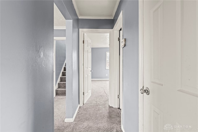 hall with carpet floors and crown molding