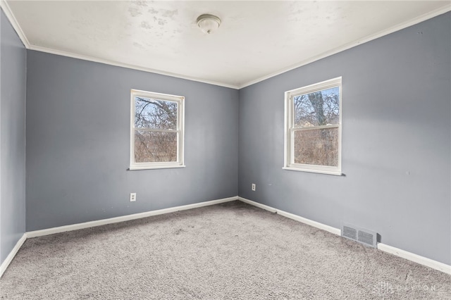 spare room with a wealth of natural light, carpet floors, and ornamental molding