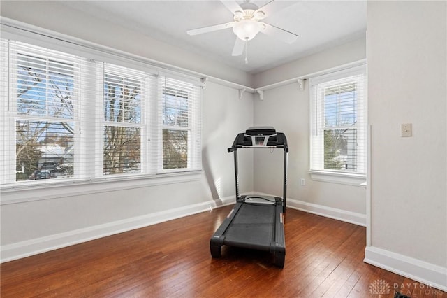 workout room with a healthy amount of sunlight, dark wood-type flooring, and ceiling fan