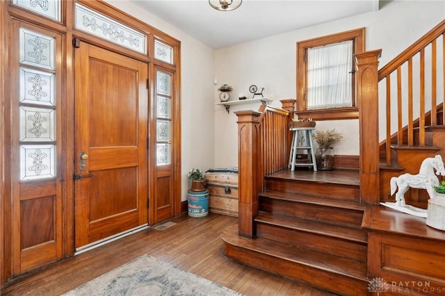 foyer featuring dark hardwood / wood-style flooring and a healthy amount of sunlight