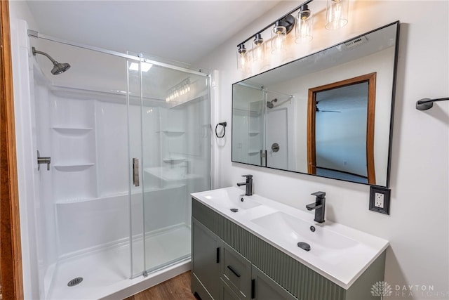 bathroom featuring vanity and a shower with door