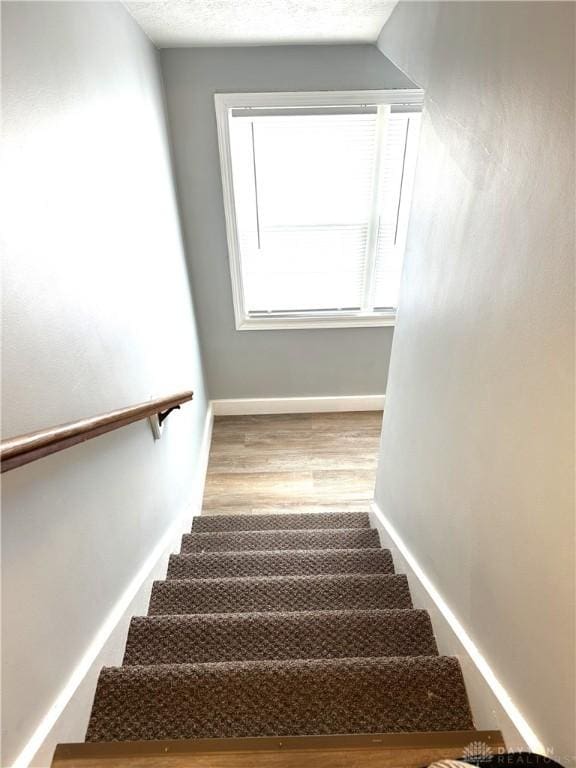 stairway with a textured ceiling and hardwood / wood-style floors