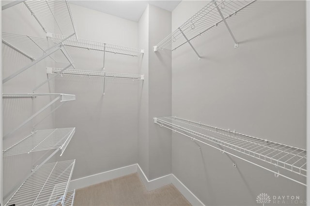 view of walk in closet