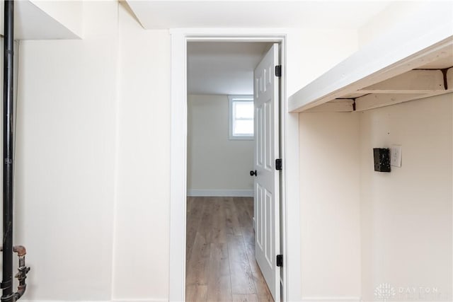 walk in closet with light wood-type flooring