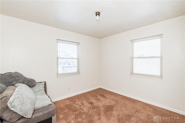 living area featuring carpet flooring