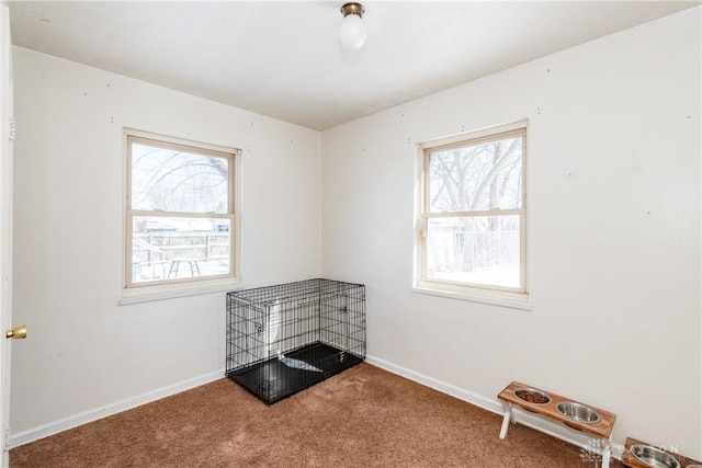 interior space featuring carpet and a wealth of natural light