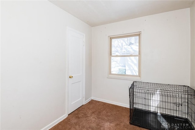 interior space featuring carpet floors