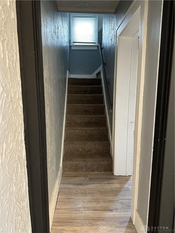 staircase with hardwood / wood-style floors