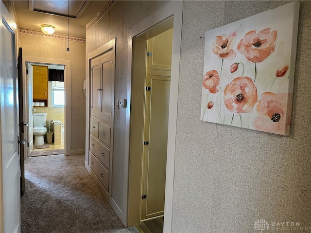 hallway featuring carpet floors