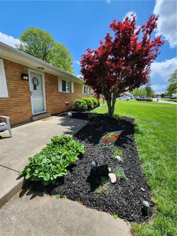 view of yard with a patio