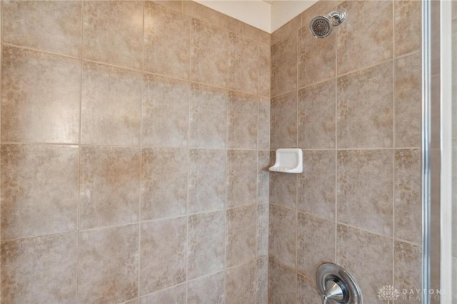 interior details featuring a tile shower