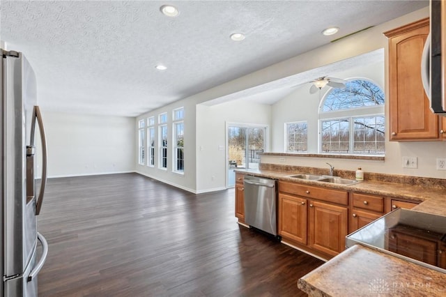 kitchen featuring a sink, open floor plan, dark wood finished floors, appliances with stainless steel finishes, and ceiling fan