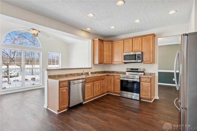 kitchen featuring lofted ceiling, appliances with stainless steel finishes, dark wood finished floors, and a ceiling fan